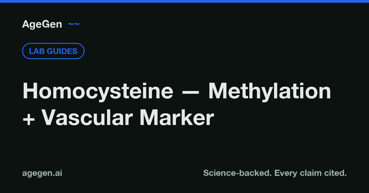 Homocysteine — Methylation + Vascular Marker — AgeGen