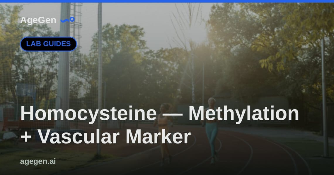 Homocysteine — Methylation + Vascular Marker — AgeGen